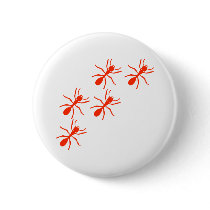 red ant trail buttons