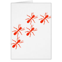 red ant trail cards
