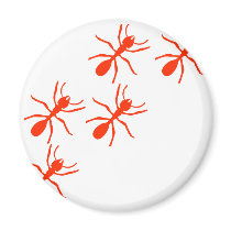red ant trail magnets