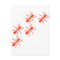 red ant trail postcards by Tomaniac red ant trail postcards