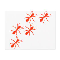 red ant trail postcards by Tomaniac red ant trail postcards