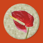 red, reds, flower, flowers, tropical, plant,