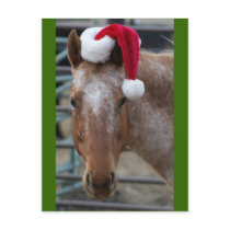 Red Appaloosa with Santa Hat Post Cards