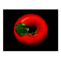 Red Apple Design Post Card