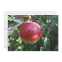 Red Apple Invitation
