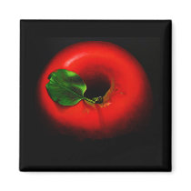 . Red Apple magnets by elliel . Red Apple magnets