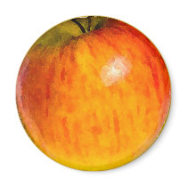 Red Apple Watercolor - Magnet by monkley_designs Red Apple Watercolor - Magnet