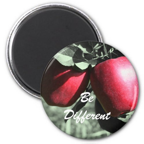 Red Apples Be Different Motivational Magnet magnet