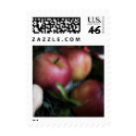 Red Apples • Christmas Stamp