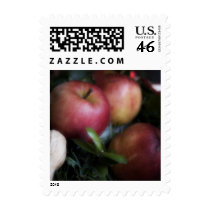 Red Apples • Christmas Stamp