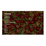 Red apples on cupressus leaves Photo Business Card Template