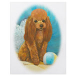 Red Apricot Poodle with Ball Flyer