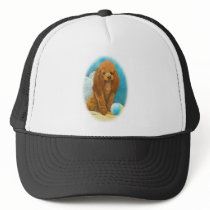 Red Apricot Poodle with Ball Hats