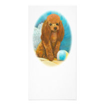 Red Apricot Poodle with Ball Photo Greeting Card
