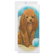 Red Apricot Poodle with Ball rack cards by greerdesign Red Apricot Poodle with Ball rack cards
