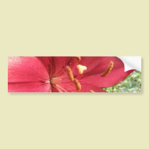 Red Asiatic Lily bumper stickers