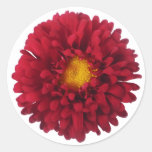 Red Aster Floral Sticker / Envelope Seal stickers