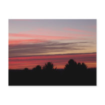 Red At Morning Postcard