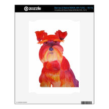 Red Austin Decal For NOOK