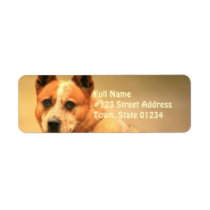Red Australian Cattle Dog Return Address Label