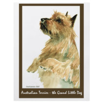 Red Australian Terrier Personalized Flyer
