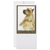 Red Australian Terrier rack cards