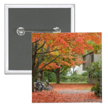 Red Autumn Leaves Falling Pins