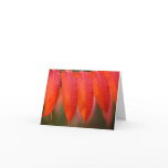 Red Autumn Leaves Note Card