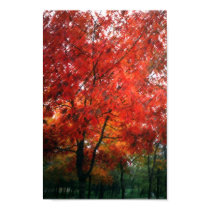 Red Autumn Tree posters by julifi Red Autumn Tree posters