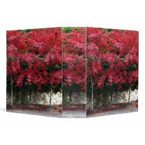 Red Autumn Trees Binder