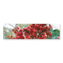 Red Azaleas and meaning Bumper Sticker