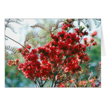 Red Azaleas and meaning Cards