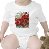 Red Azaleas and meaning Creeper