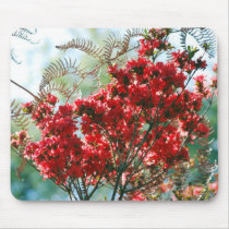 Red Azaleas and meaning Mousepad