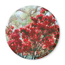 Red Azaleas and meaning Refrigerator Magnets