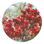 Red Azaleas and meaning Sticker