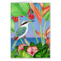 Red-backed Kingfisher cards