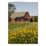 Red Barn