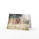 Red Barn cards by kmk101773 Red Barn cards