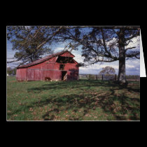 Red Barn cards