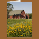 Red Barn cards