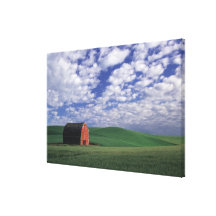 Red barn in wheat & barley field in Whitman Stretched Canvas Print