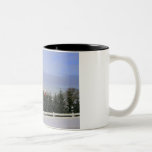 Red Barn Mug