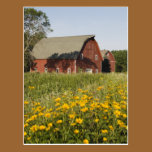 Red Barn postcards