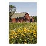 Red Barn