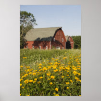 Red Barn Posters
