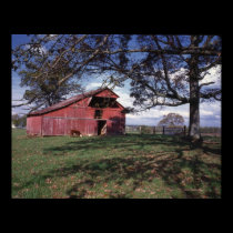 Red Barn posters