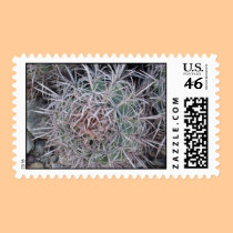 Red Barrel Cactus Closeup postage
