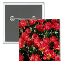 Red Beauties Pin