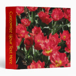 Red Beauties Vinyl Binders